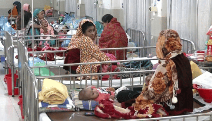 হামে পাঁচ মাসে ৯০০ মৃত্যু